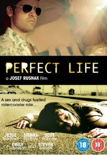 Perfect Life (Perfect Life)