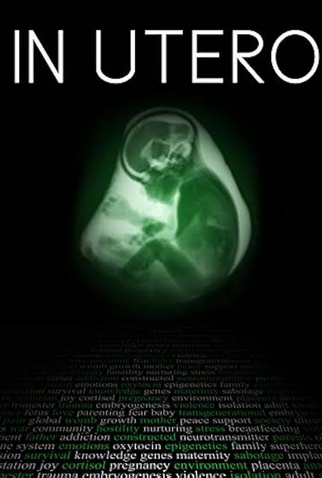 Poster 1 de Filme In Utero (2015)