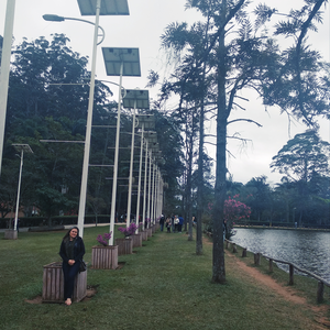 Foto de perfil de Feh Saraiva