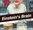 Relics: Einstein’s Brain