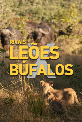 Poster 1 de Série Rivais: Leões X Búfalos (2014)