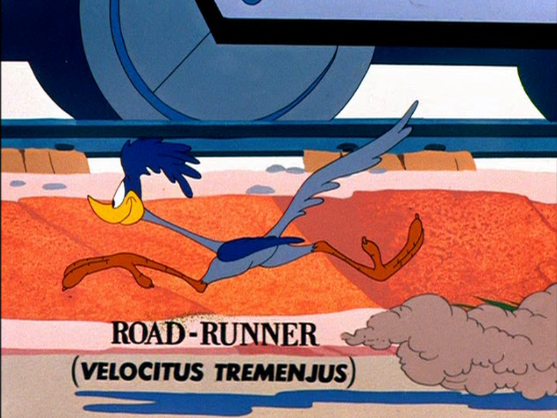 Foto 10 de Tentando de Tudo