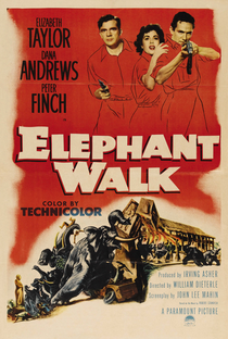 No Caminho dos Elefantes - Poster / Capa / Cartaz - Oficial 3