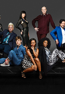 Project Runway All Stars (5ª Temporada) (Project Runway: All Stars (Season 5))