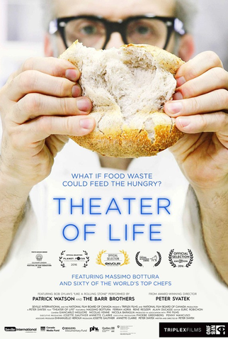 Poster 1 de Filme Massimo Bottura: teatro da vida (2016)