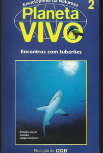 Planeta Vivo - Encontros com Tubarões - Poster / Capa / Cartaz - Oficial 1