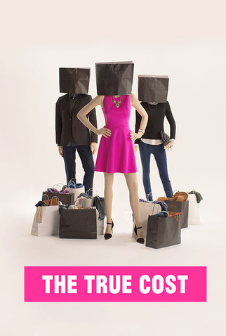 Poster 3 de Filme O Verdadeiro Custo (2015)