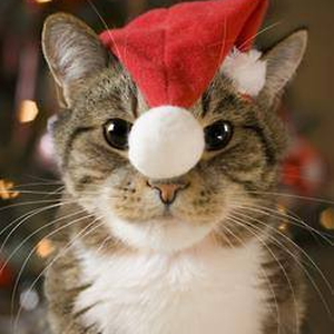 Foto de perfil de Gab