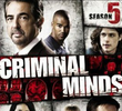 Mentes Criminosas (5ª Temporada)