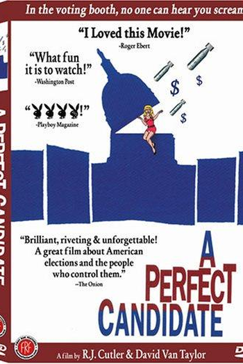 Poster de Filme A Perfect Candidate (1996)