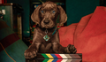 “Scooby-Doo: A Origem” encerra gravações e ganha previsão de estreia
