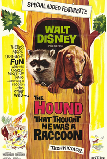 The Hound That Thought He Was A Raccoon - Poster / Capa / Cartaz - Oficial 1