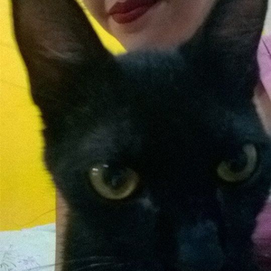 Foto de perfil de Juli