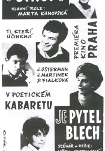 Saco de Pulgas (Pytel blech)