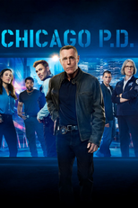 Chicago P.D.: Distrito 21 (13ª Temporada) (Chicago P.D. (Season 13))