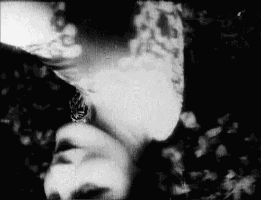 Ana Milani - Foto 1