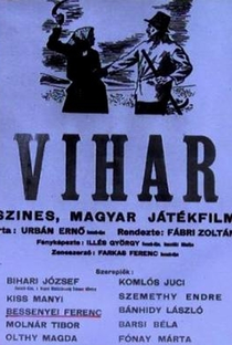 Vihar / Storm - Poster / Capa / Cartaz - Oficial 1