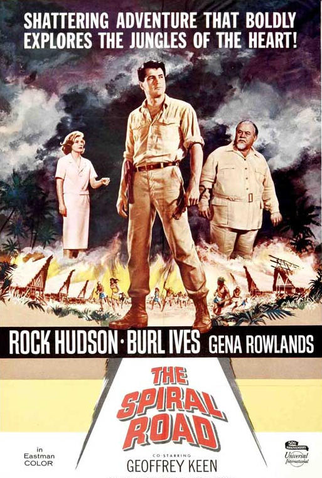 Poster 1 de Filme Labirinto de Paixões (1962)