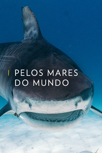 Poster de Série Pelos Mares do Mundo (2016)