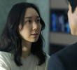 기억의 조화