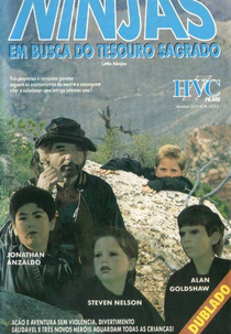 Os Pequenos Ninjas: Em Busca do Tesouro Sagrado (3 Little Ninjas and the Lost Treasure)