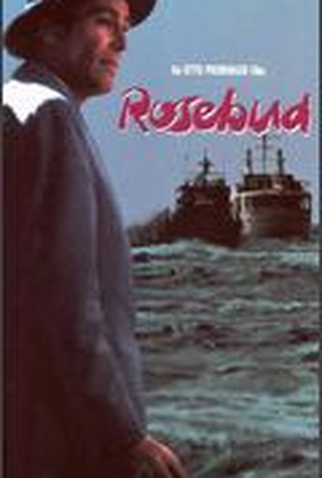 Poster 2 de Filme Setembro Negro (1975)