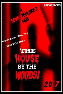 Don't Go Into the House by the Woods - Poster / Capa / Cartaz - Oficial 3