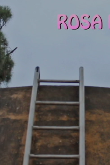  de Curta Rosa Importa (2017)