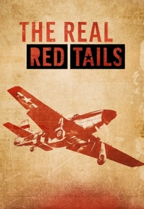 As Verdadeiras Caudas Vermelhas (The Real Red Tails)