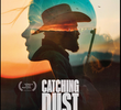 Catching Dust