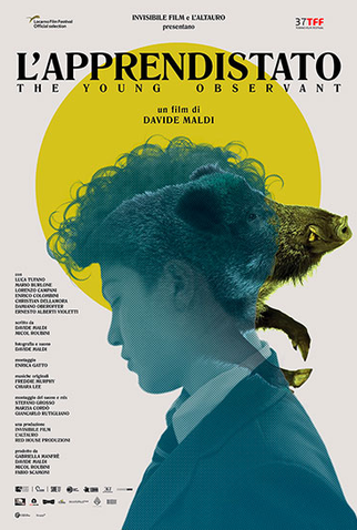 Poster 1 de Filme O Aprendizado (2019)