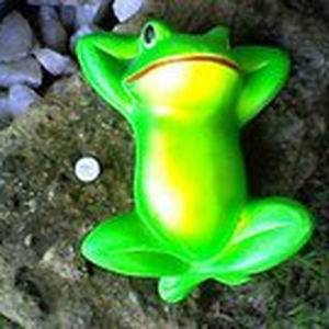 Foto de perfil de Thiago