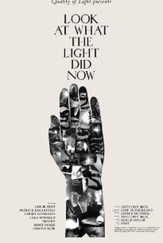 Poster 1 de Filme Look at What the light did now (2010)