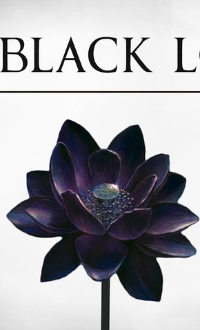 The black lotus