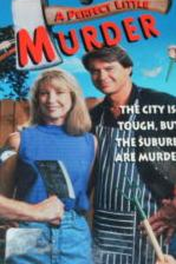 Poster de Filme Um Assassinato Quase Perfeito (1990)