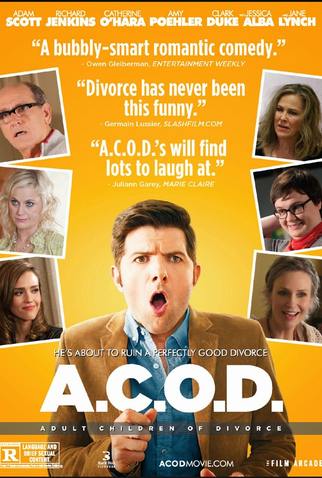 Poster 3 de Filme Filhos do Divórcio (2013)