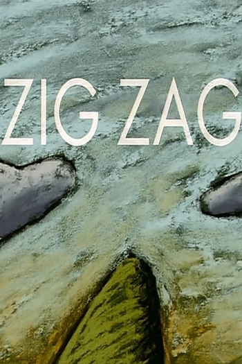 Poster de Curta Zig Zag (1996)