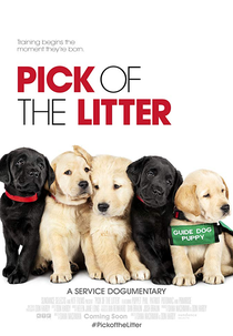 A Escolha da Ninhada (Pick of the Litter)
