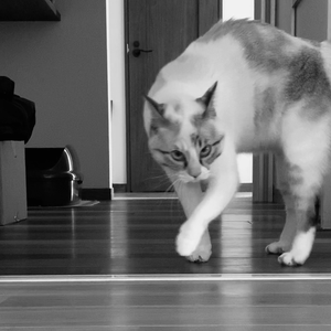 Foto de perfil de Angel