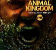Animal Kingdom (3ª Temporada)