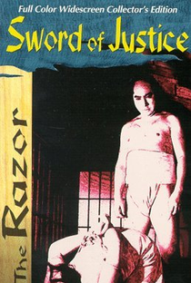 Hanzo the Razor: Sword of Justice - Poster / Capa / Cartaz - Oficial 1