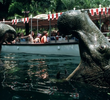 Jungle Cruise