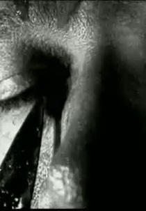 Alma Cega (Alma Cega)