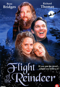 O Vôo Mágico (The Christmas Secret)