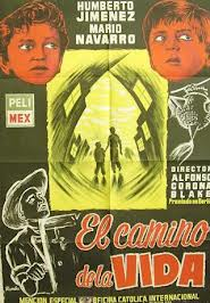 O Caminho da Vida  (El camino de la vida )