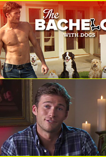 The Bachelor with Dogs and Scott Eastwood - Poster / Capa / Cartaz - Oficial 1