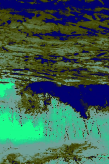 Poster de Curta The Green Wave (2011)