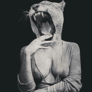 Foto de perfil de vlso