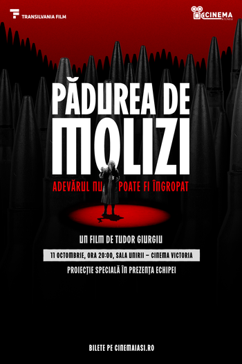 Poster de Filme Floresta de Abetos (2025)