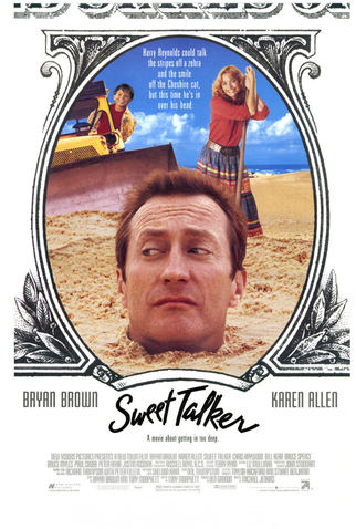 Poster 2 de Filme Meu Querido Golpista (1991)
